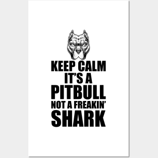 Pitbull - Keep calm it's a Pitbull not a freakin' shark Posters and Art